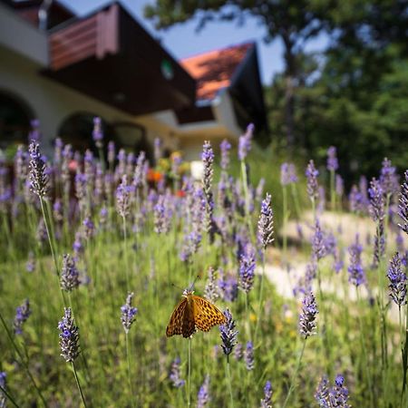 Zseri Vadaszhaz Fehérvárcsurgó Exteriér fotografie