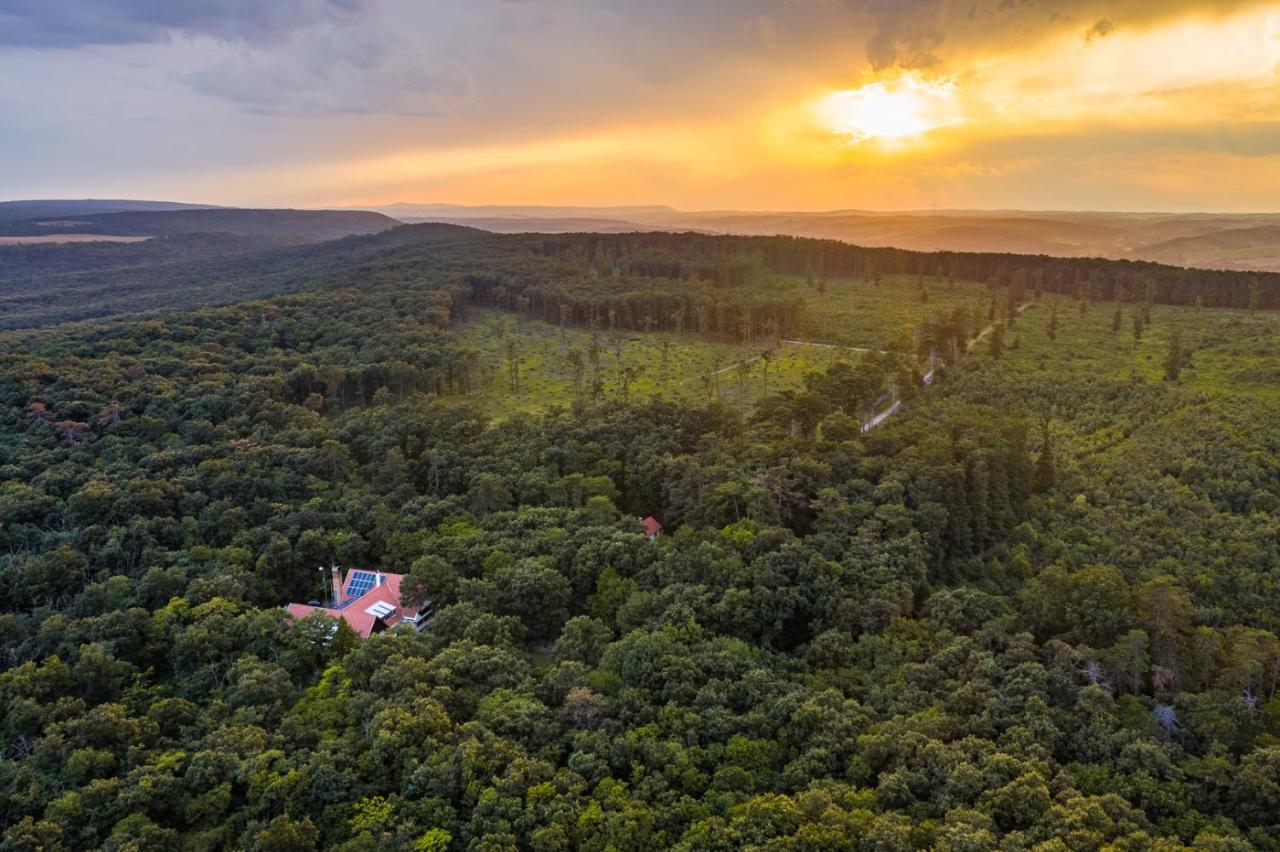 Zseri Vadaszhaz Fehérvárcsurgó Exteriér fotografie