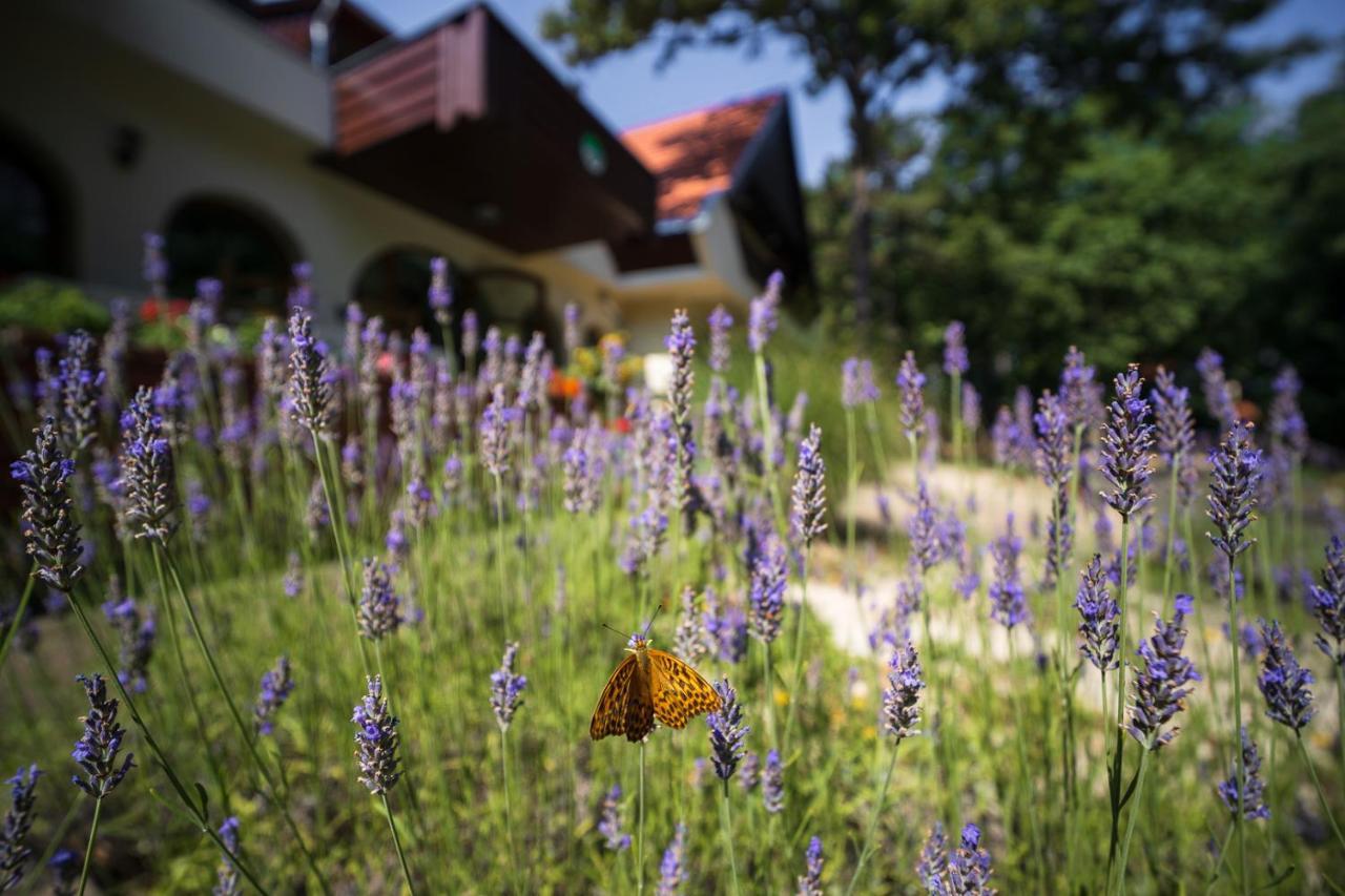 Zseri Vadaszhaz Fehérvárcsurgó Exteriér fotografie