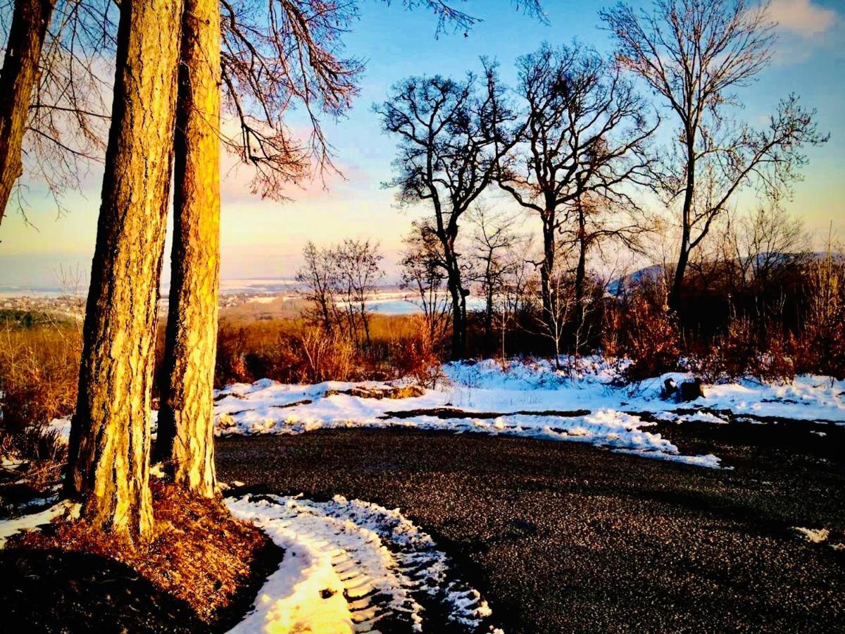 Zseri Vadaszhaz Fehérvárcsurgó Exteriér fotografie